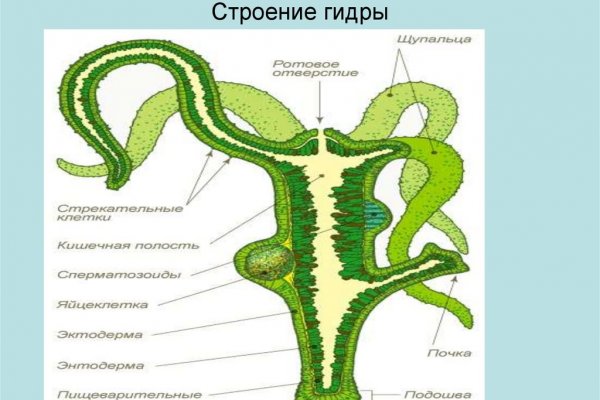 Кракен купить меф