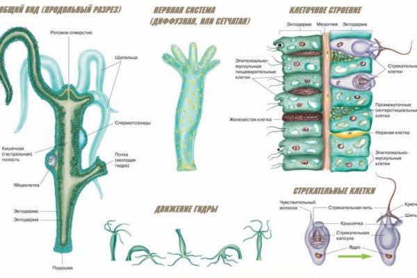 Kraken маркетплейс как зайти